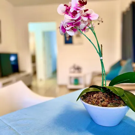 Apartamento Primavera I *