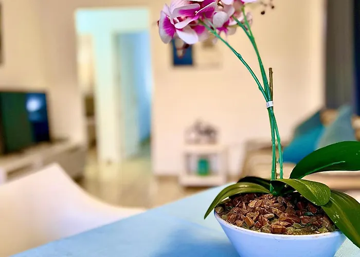 شقة Apartamento Primavera I *